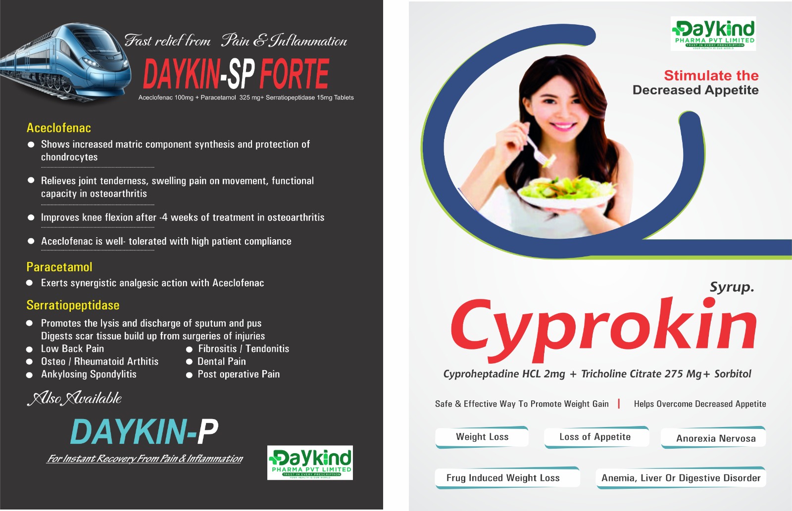 daykind pharma pvt Ltd